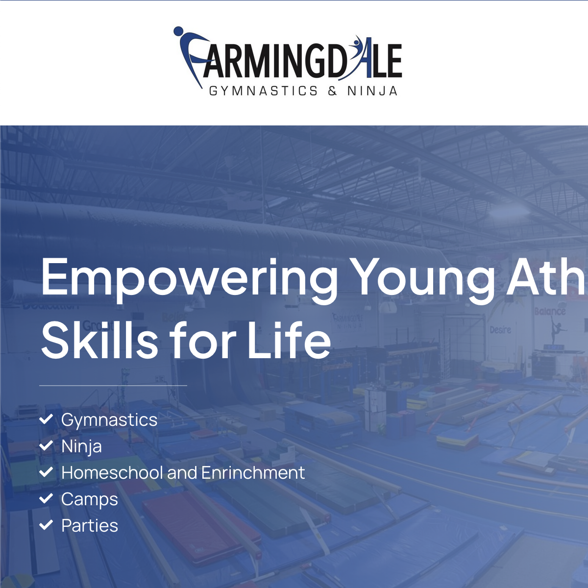 Farmingdale Gymnastics and Ninja Academy website screenshot